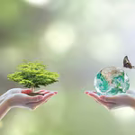 shutterstock   scaled