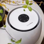 vozduho ochistitel dlya pomewenii